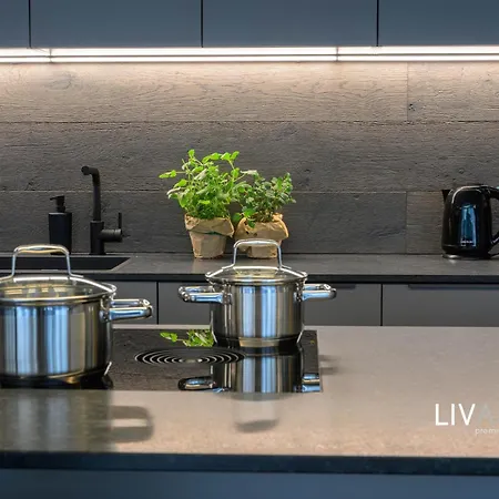 Apartment Livalpin *